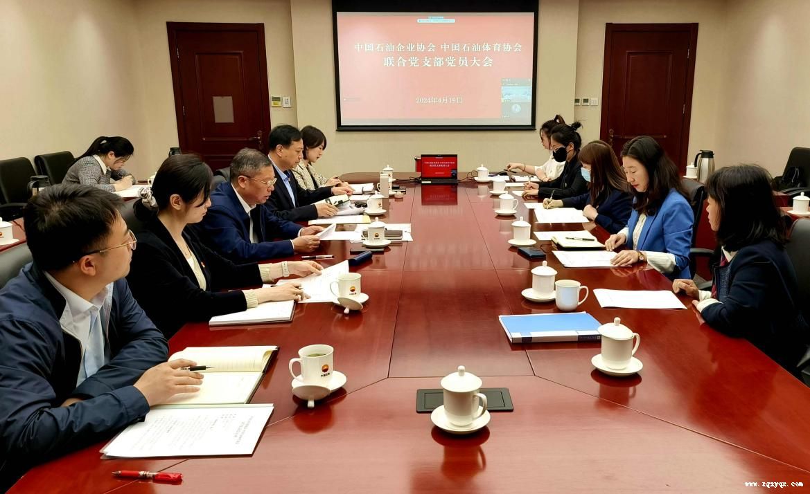 ʯ����Э��ʯ����Э���ϵ�֧����չ����ѧϰ��������