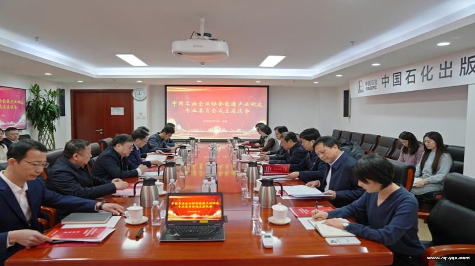 �й�ʯ����ҵЭ����Դ��ҵ�о�רҵίԱ���ھ�����