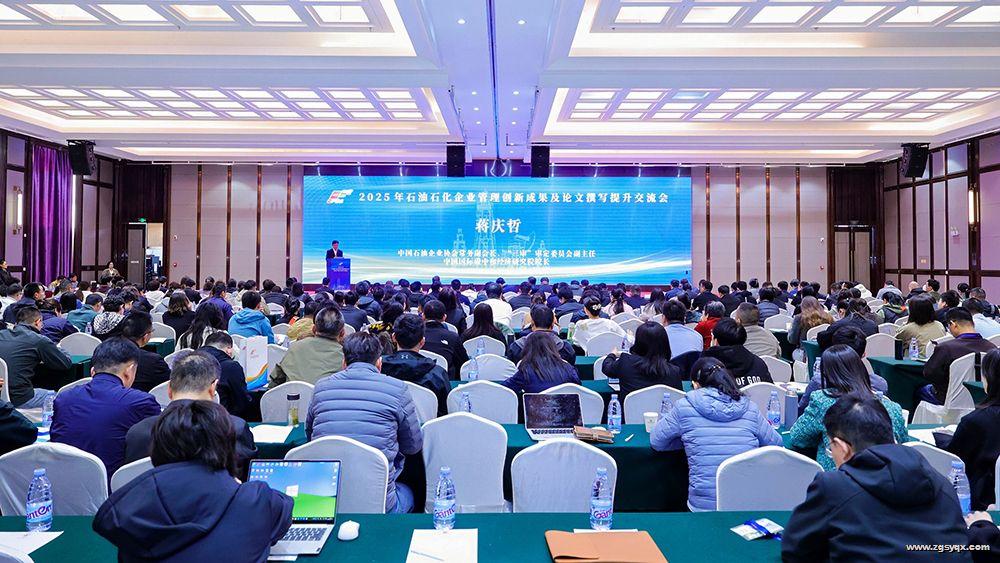 2025��ʯ��ʯ����ҵ�������³ɹ�������׫д�������������人�ٿ�