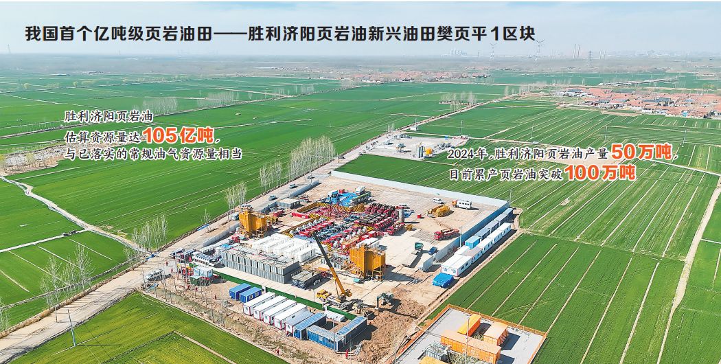 �ҹ��׸��ڶּ�ҳ�����ﵮ��