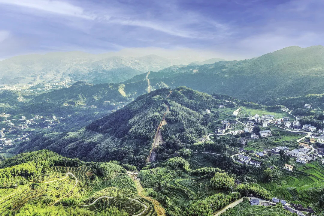 Ҷ���������֡��ػ��̻� ��ů���ҡ�Ʒ�Ƽ�ֵ׷�� ������˴�����չ����������