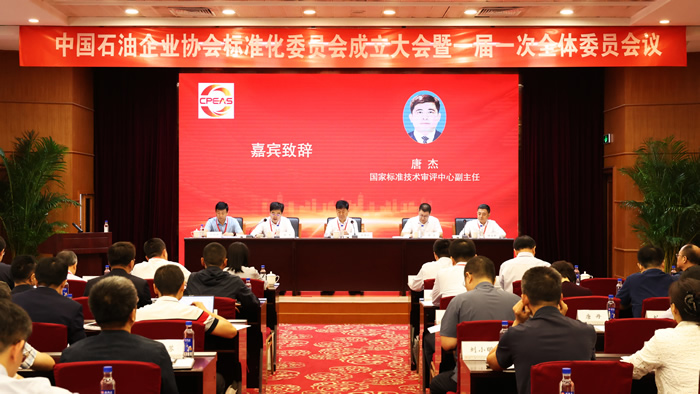 �й�ʯ����ҵЭ���׼��ίԱ����ʽ����<br>��������ʯ��ʯ����ҵ��������չ�����½׶�