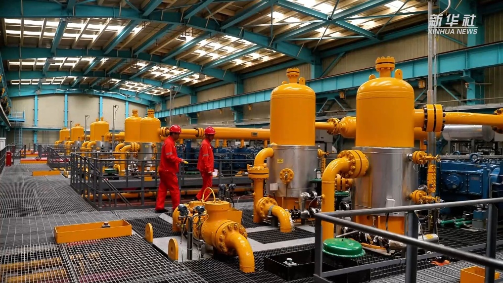 �ҹ�������⡰���ַ�����