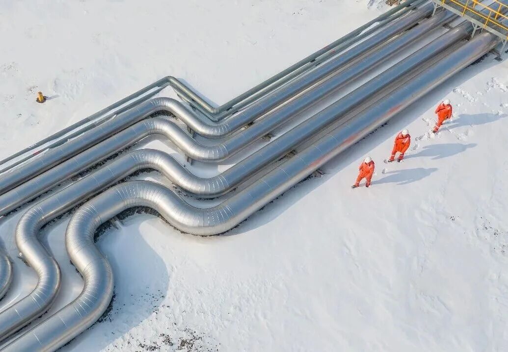 ���ҹ������Ŷ��³���ΰ������ش�