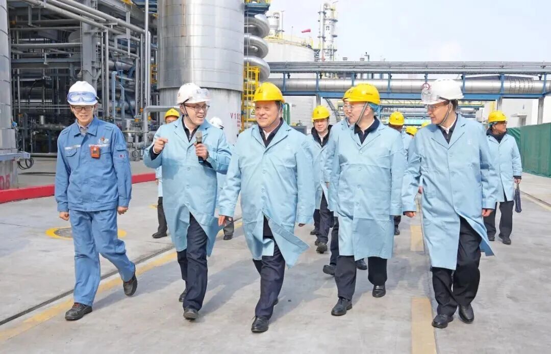 �����������������쵼������������Ტ�����������㽭ʯ�͵���